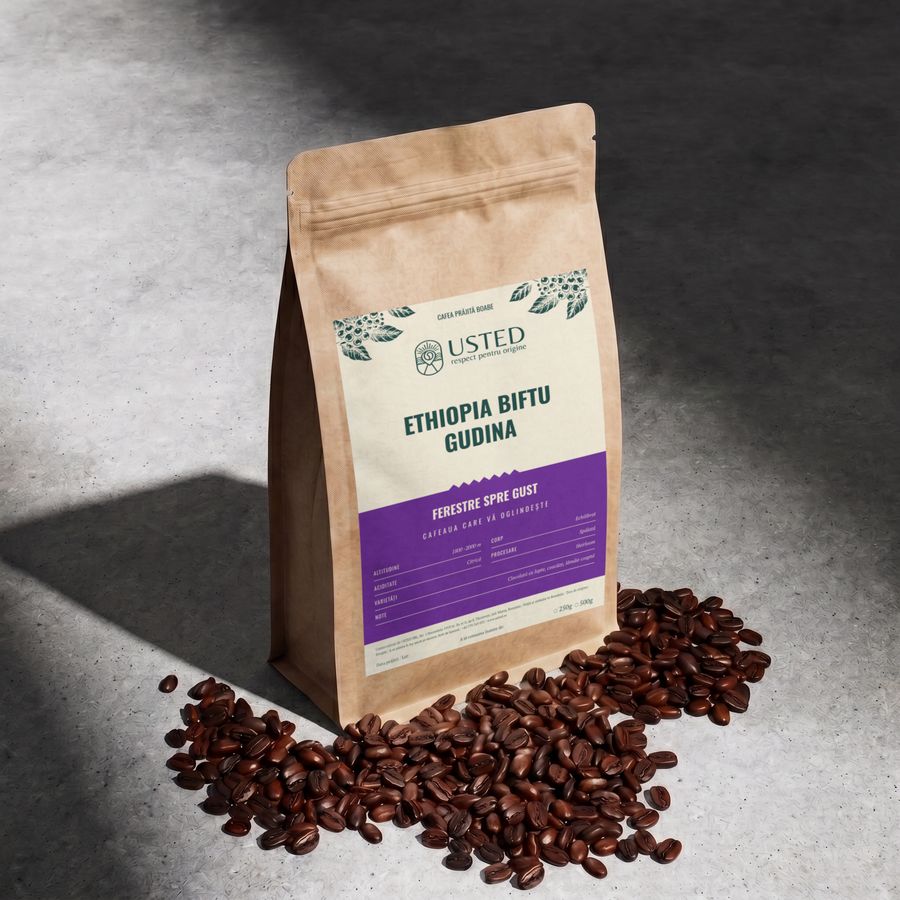 Ethiopia Biftu Gudina, ambianță