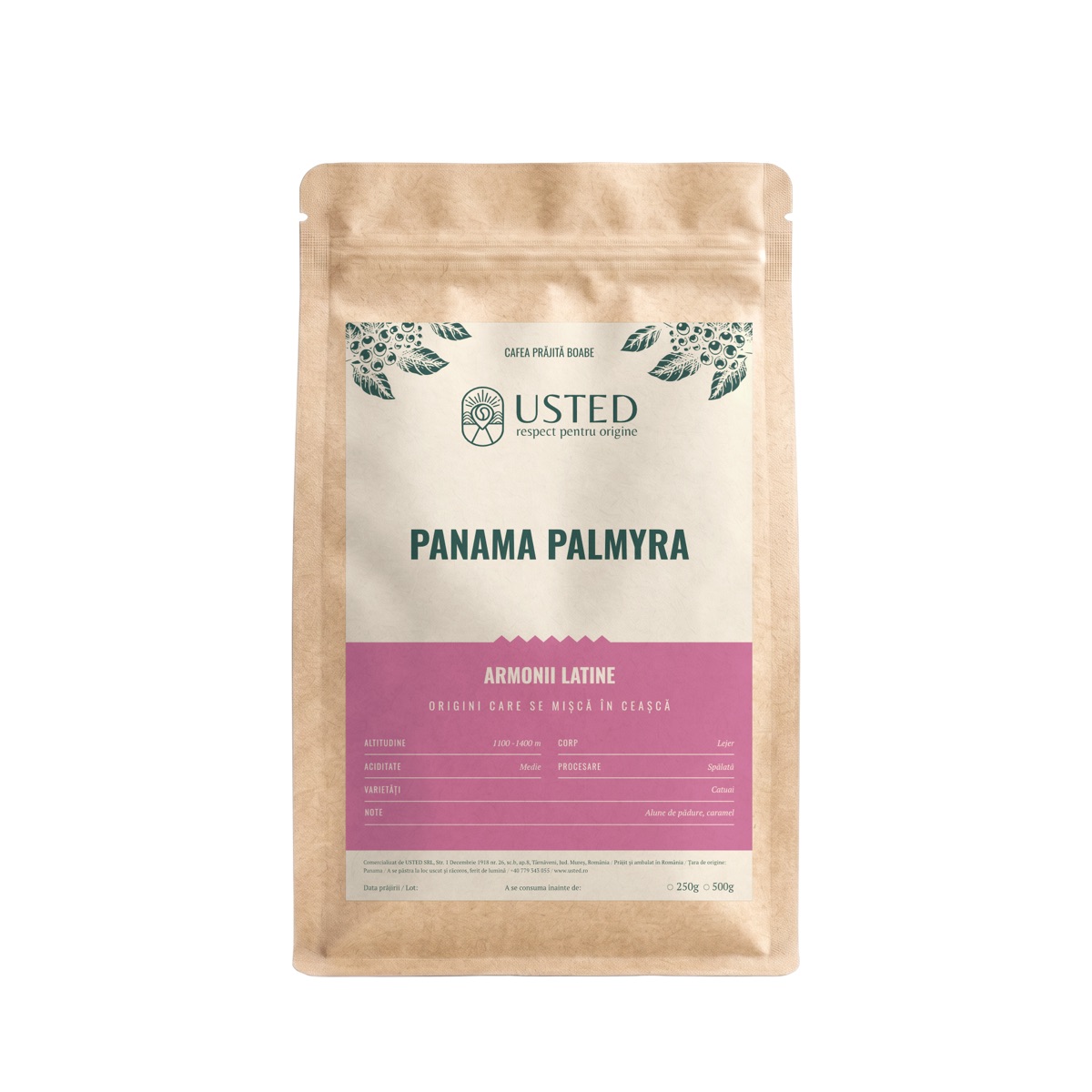 Panama Palmyra